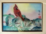 Bird.Red.Cardinal.Az.P1100516