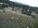 labyrinth_moose